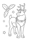 Set of 5 Christmas Card Pack - Colour your Own