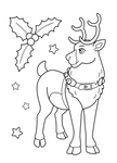 Set of 5 Christmas Card Pack - Colour your Own